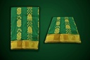 Saree - SA08474